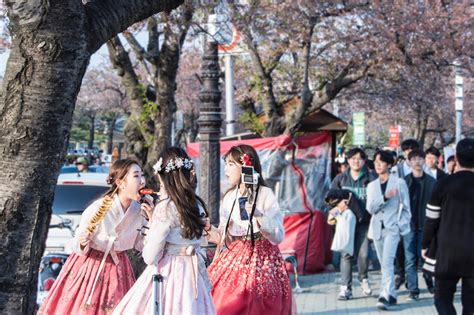 우에바 아야, 일본 문화와 한국 문화의 교차점에서